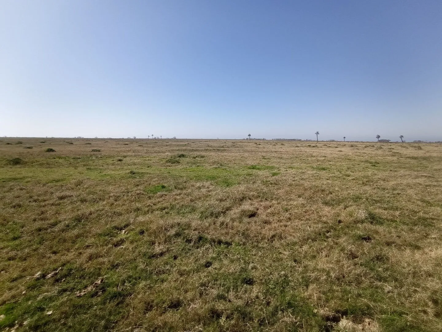 CAMPO AGRÍCOLA GANADERO — foto 21