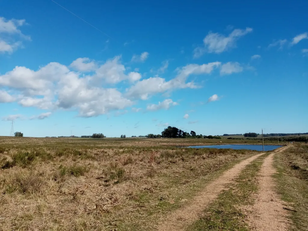 VENTA FRACCION RURAL 52 HECTAREAS EN RINCON DE JOSE IGNACIO — foto 3