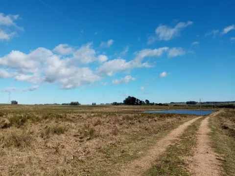 VENTA FRACCION RURAL 52 HECTAREAS EN RINCON DE JOSE IGNACIO — foto 3
