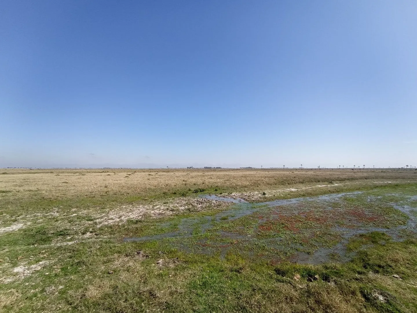 CAMPO AGRÍCOLA GANADERO — foto 22