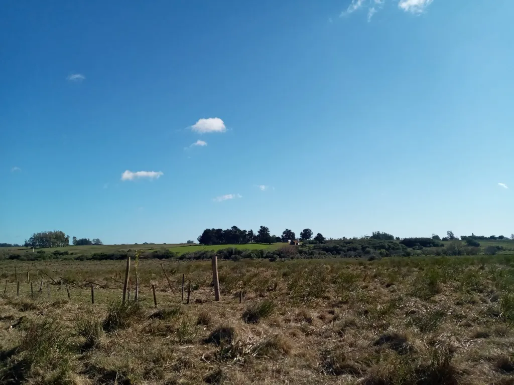 VENTA FRACCION RURAL 52 HECTAREAS EN RINCON DE JOSE IGNACIO — foto 4