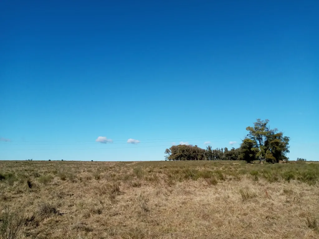 VENTA FRACCION RURAL 52 HECTAREAS EN RINCON DE JOSE IGNACIO — foto 5
