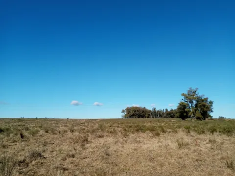 VENTA FRACCION RURAL 52 HECTAREAS EN RINCON DE JOSE IGNACIO — foto 5