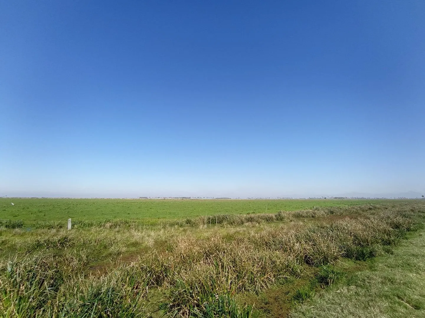 CAMPO AGRÍCOLA GANADERO — foto 24