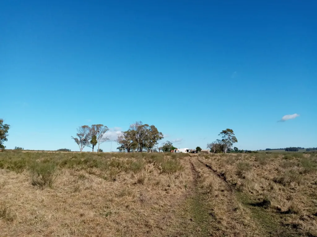 VENTA FRACCION RURAL 52 HECTAREAS EN RINCON DE JOSE IGNACIO — foto 6