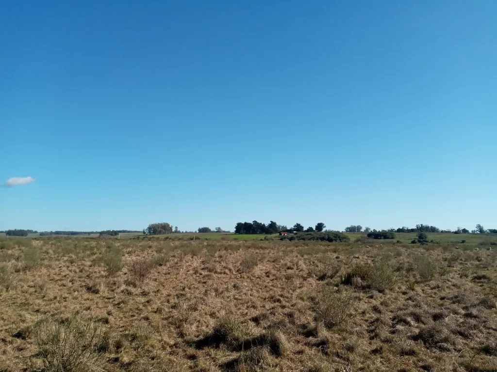 VENTA FRACCION RURAL 52 HECTAREAS EN RINCON DE JOSE IGNACIO — foto 7
