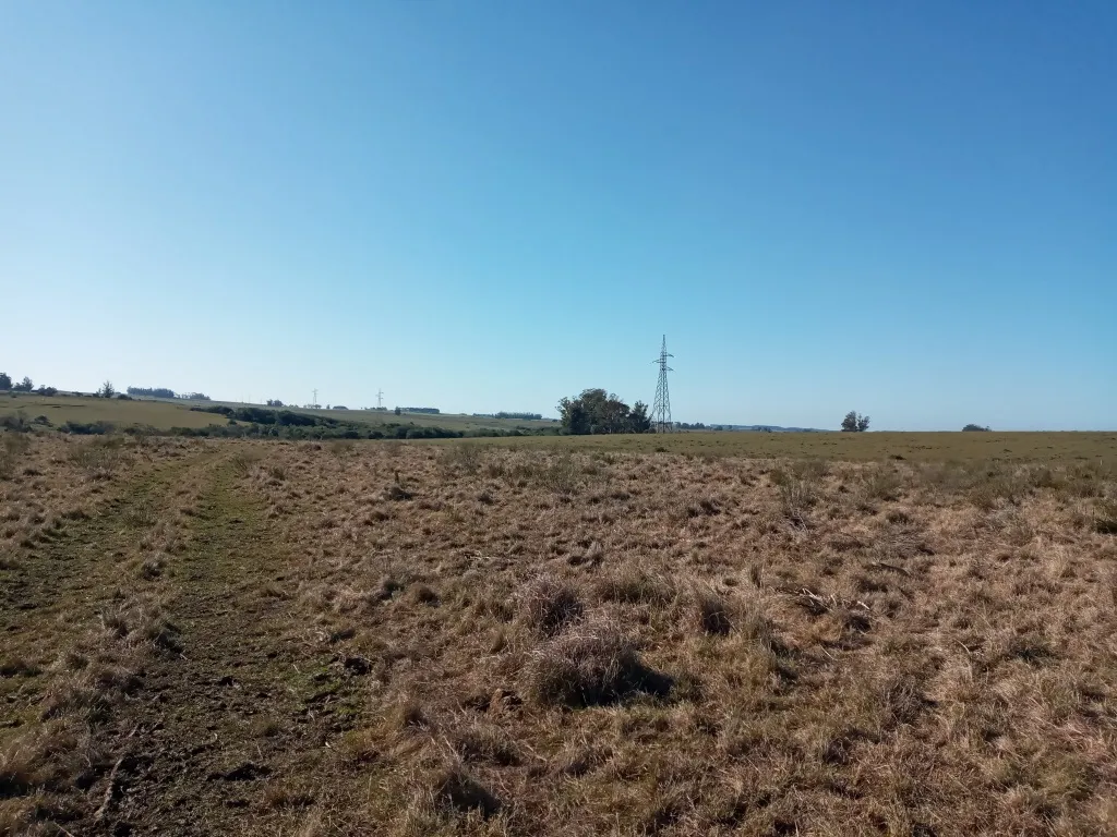 VENTA FRACCION RURAL 52 HECTAREAS EN RINCON DE JOSE IGNACIO — foto 8