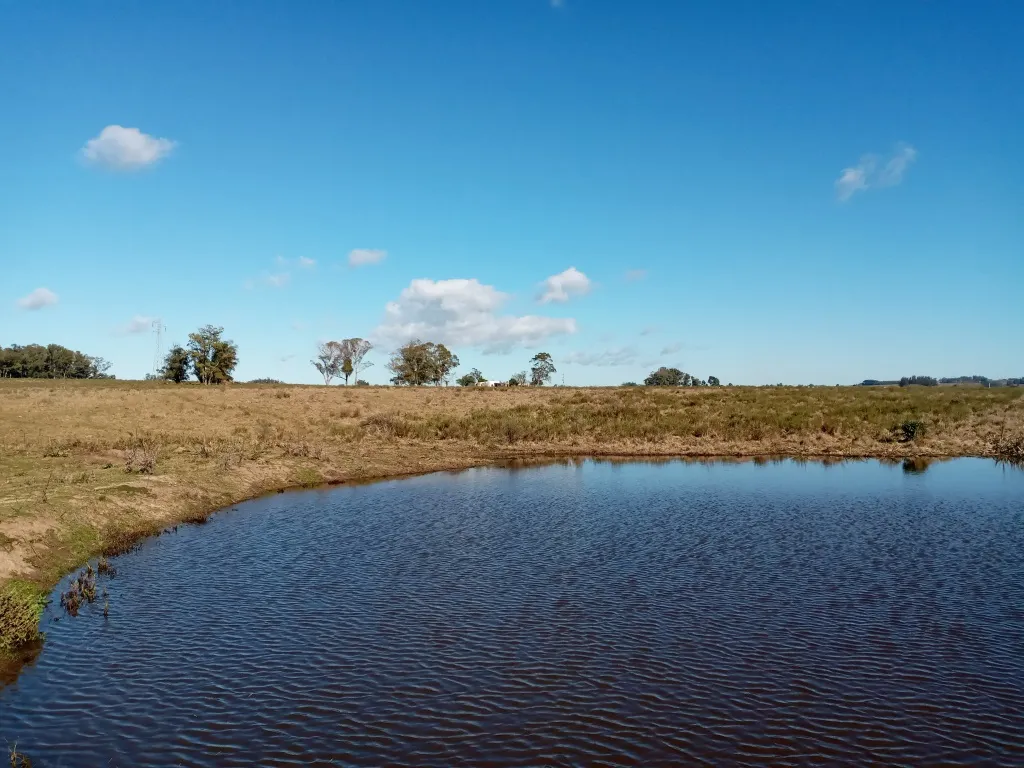 VENTA FRACCION RURAL 52 HECTAREAS EN RINCON DE JOSE IGNACIO — foto 9