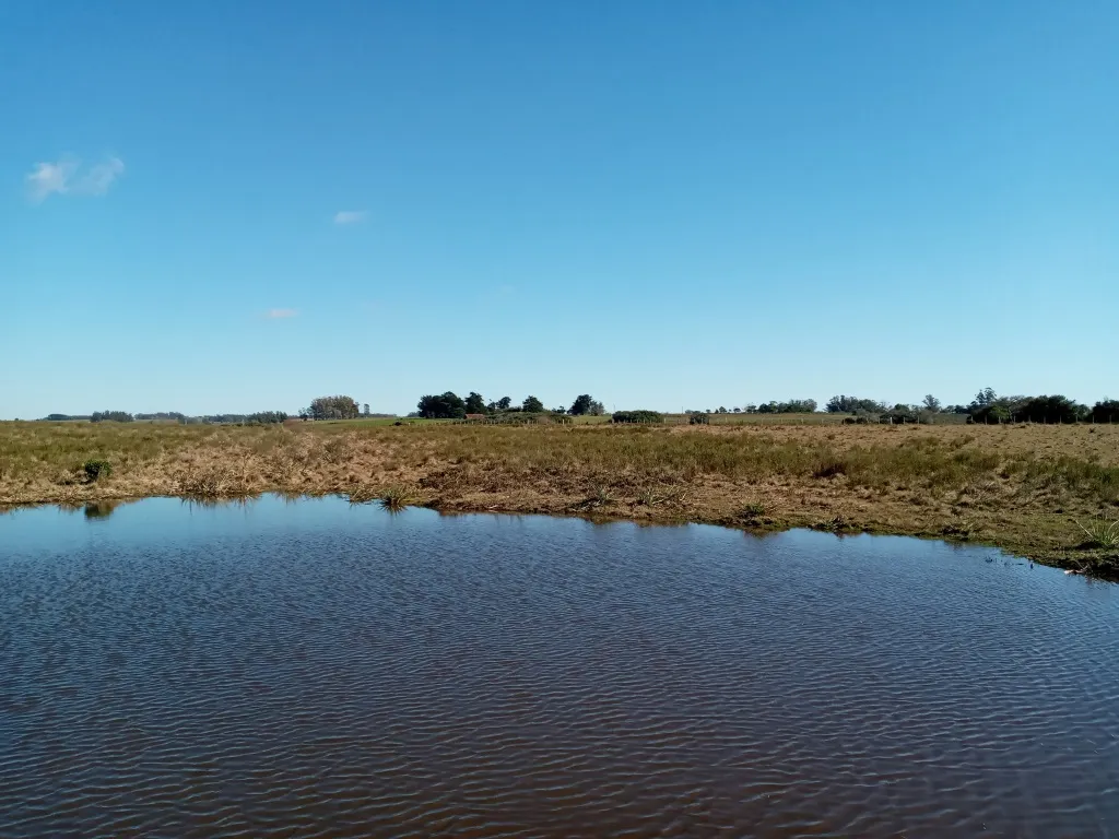 VENTA FRACCION RURAL 52 HECTAREAS EN RINCON DE JOSE IGNACIO — foto 10