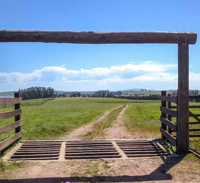 Venta de Chacra con casa en Laguna del Sauce Maldonado — foto 9