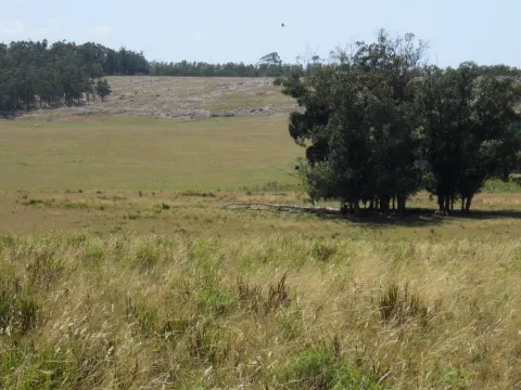 CHACRA EN VENTA DE 15,6 HECTAREAS - ZONA EL QUIJOTE LA BARRA