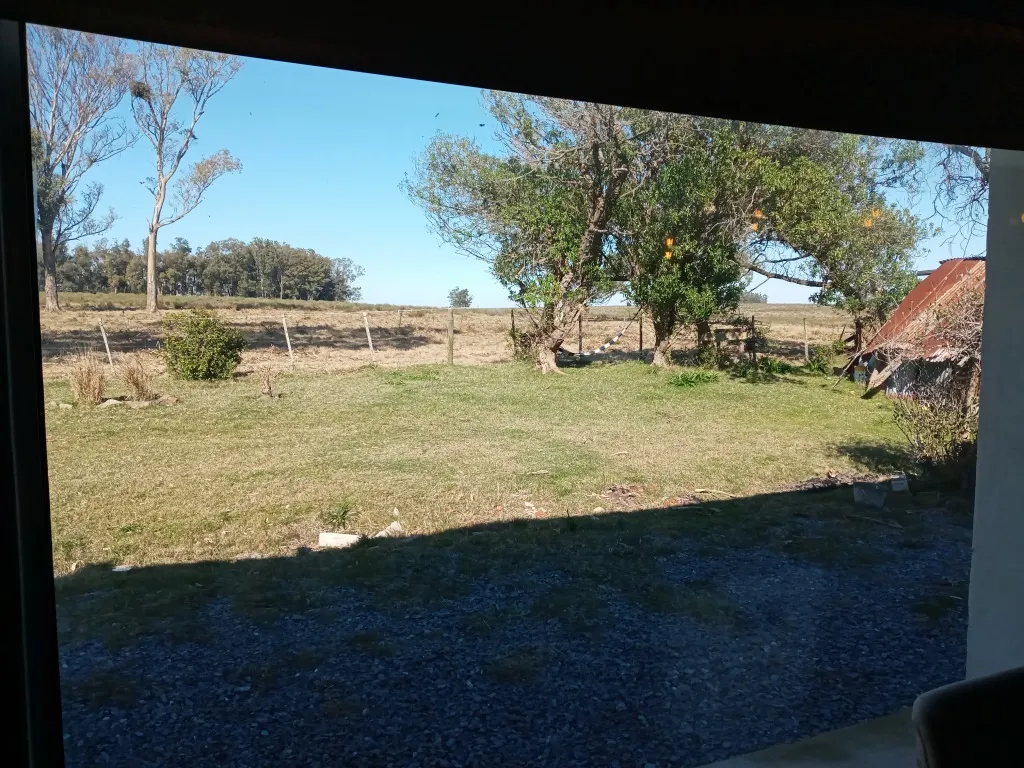 VENTA FRACCION RURAL 52 HECTAREAS EN RINCON DE JOSE IGNACIO — foto 14