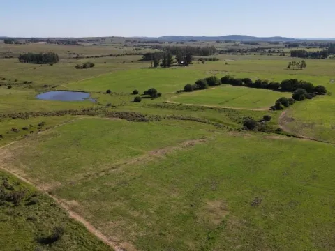 Chacra / Campo 40 ha en Maldonado