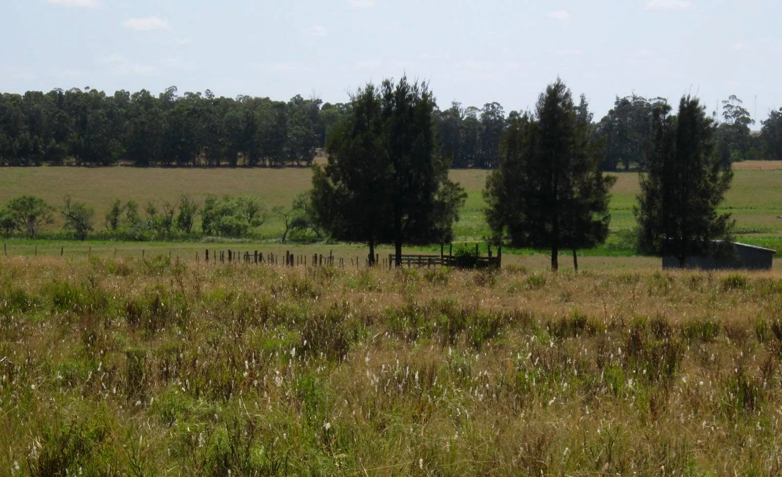 CHACRA EN VENTA DE 15,6 HECTAREAS - ZONA EL QUIJOTE LA BARRA — foto 2