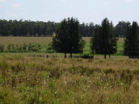 CHACRA EN VENTA DE 15,6 HECTAREAS - ZONA EL QUIJOTE LA BARRA — foto 2