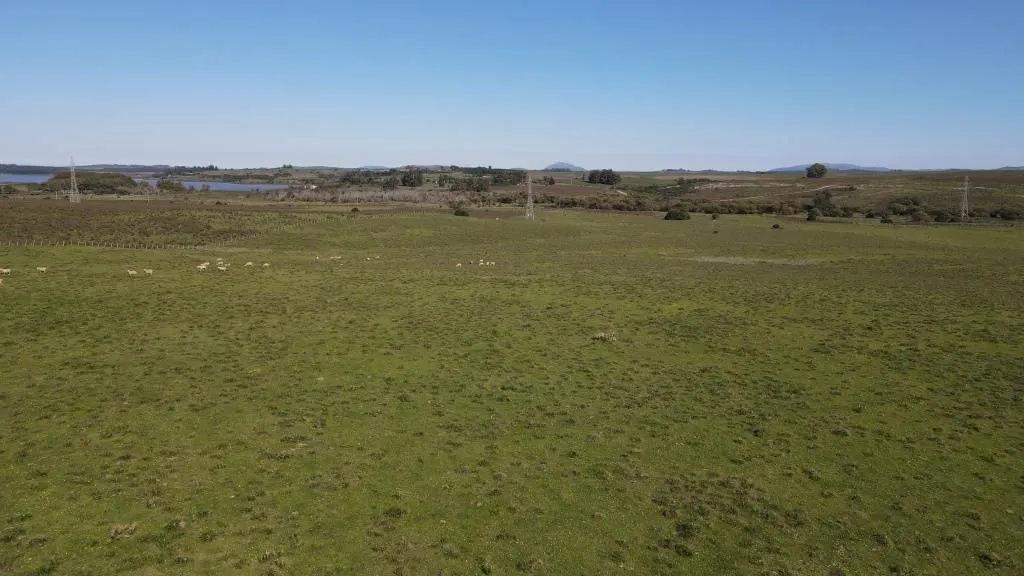 Chacra / Campo 40 ha en Maldonado — foto 2