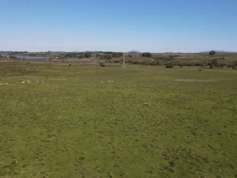Chacra / Campo 40 ha en Maldonado — foto 2