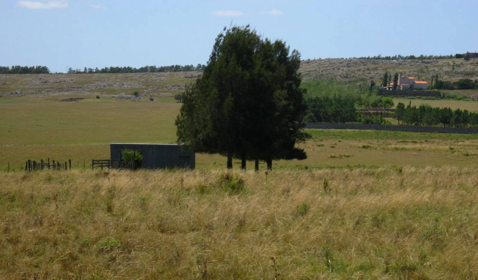 CHACRA EN VENTA DE 15,6 HECTAREAS - ZONA EL QUIJOTE LA BARRA — foto 3