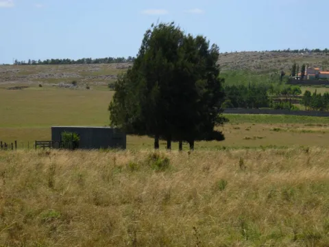 CHACRA EN VENTA DE 15,6 HECTAREAS - ZONA EL QUIJOTE LA BARRA — foto 3