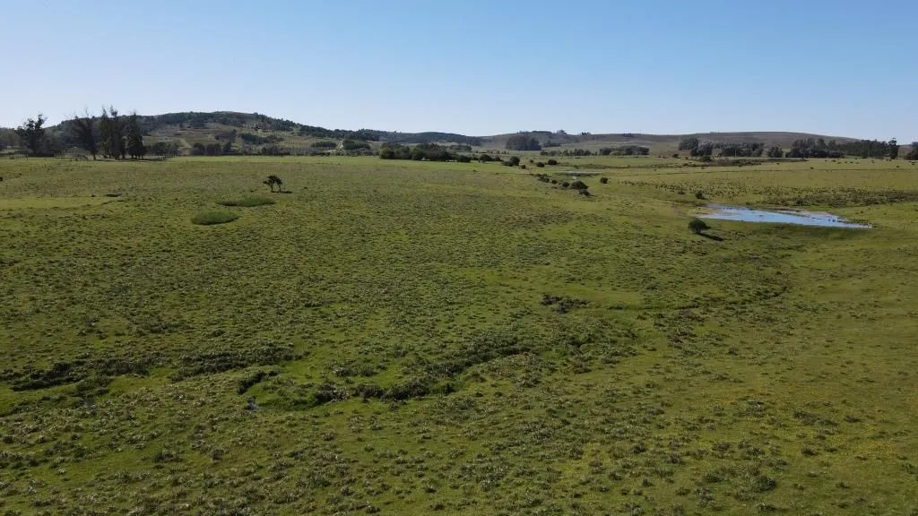 Chacra / Campo 40 ha en Maldonado — foto 3