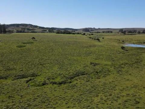 Chacra / Campo 40 ha en Maldonado — foto 3