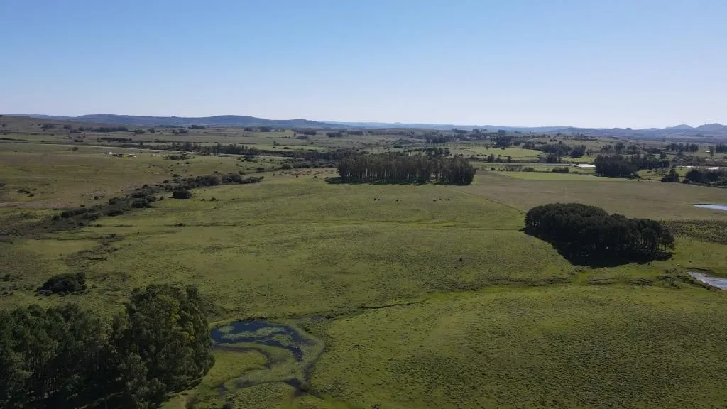 Chacra / Campo 40 ha en Maldonado — foto 4
