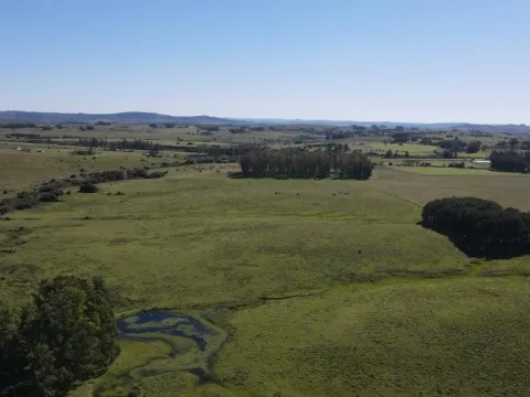 Chacra / Campo 40 ha en Maldonado — foto 4