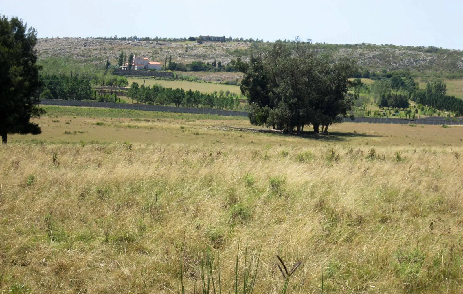 CHACRA EN VENTA DE 15,6 HECTAREAS - ZONA EL QUIJOTE LA BARRA — foto 4