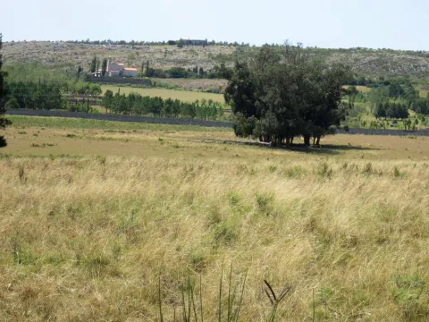 CHACRA EN VENTA DE 15,6 HECTAREAS - ZONA EL QUIJOTE LA BARRA — foto 4