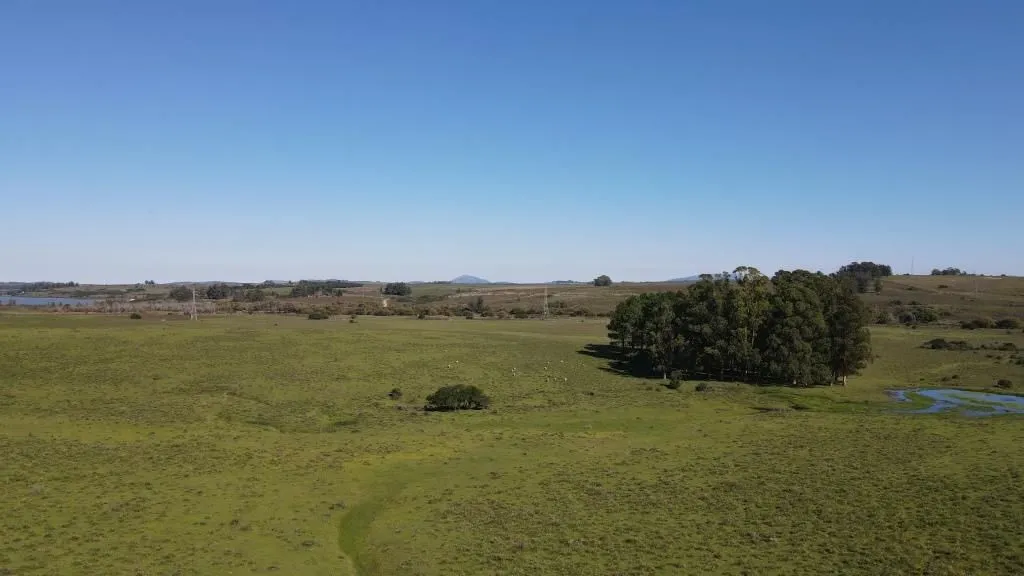 Chacra / Campo 40 ha en Maldonado — foto 5