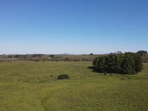 Chacra / Campo 40 ha en Maldonado — foto 5