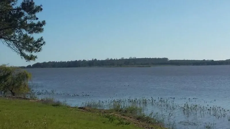 Venta de Chacra con casa en Laguna del Sauce Maldonado — foto 15