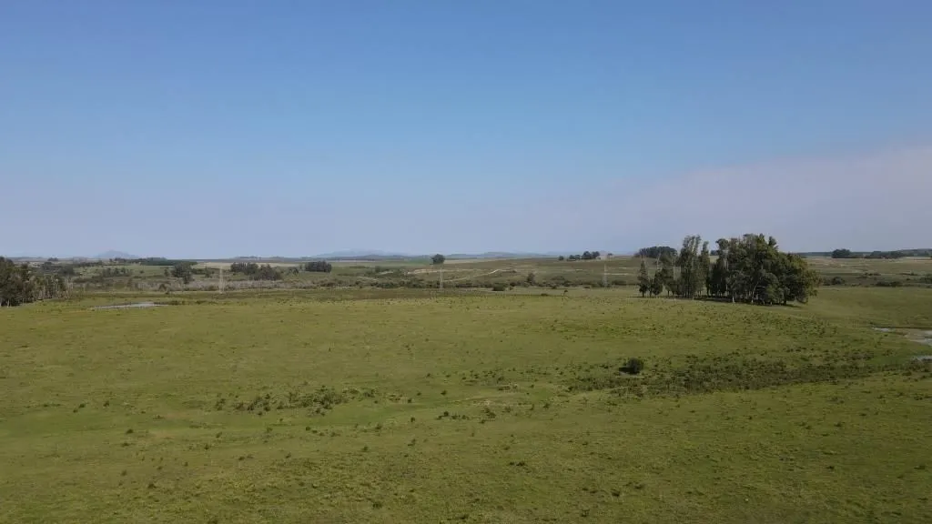 Chacra / Campo 40 ha en Maldonado — foto 6