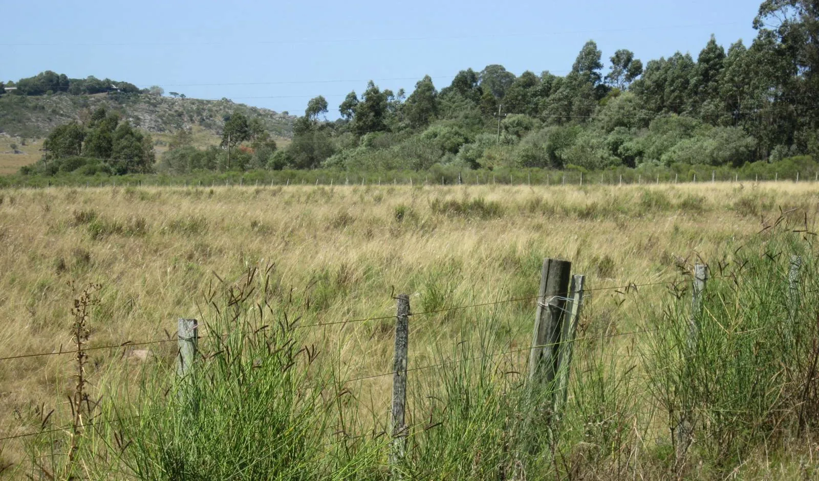 CHACRA EN VENTA DE 15,6 HECTAREAS - ZONA EL QUIJOTE LA BARRA — foto 5