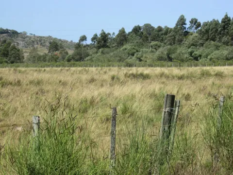 CHACRA EN VENTA DE 15,6 HECTAREAS - ZONA EL QUIJOTE LA BARRA — foto 5