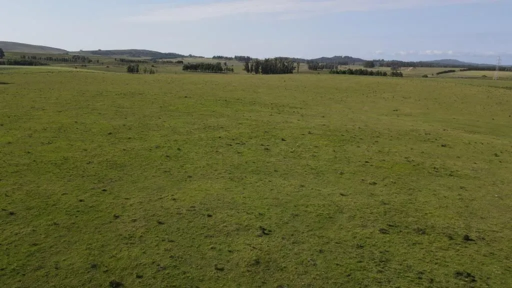 Chacra / Campo 40 ha en Maldonado — foto 7