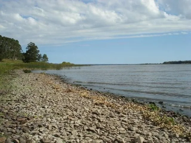 Venta de Chacra con casa en Laguna del Sauce Maldonado — foto 17