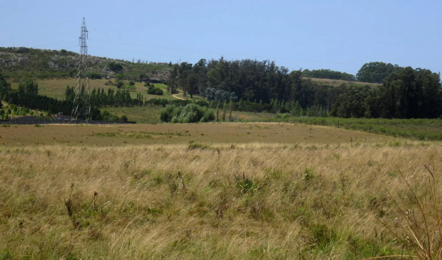 CHACRA EN VENTA DE 15,6 HECTAREAS - ZONA EL QUIJOTE LA BARRA — foto 6