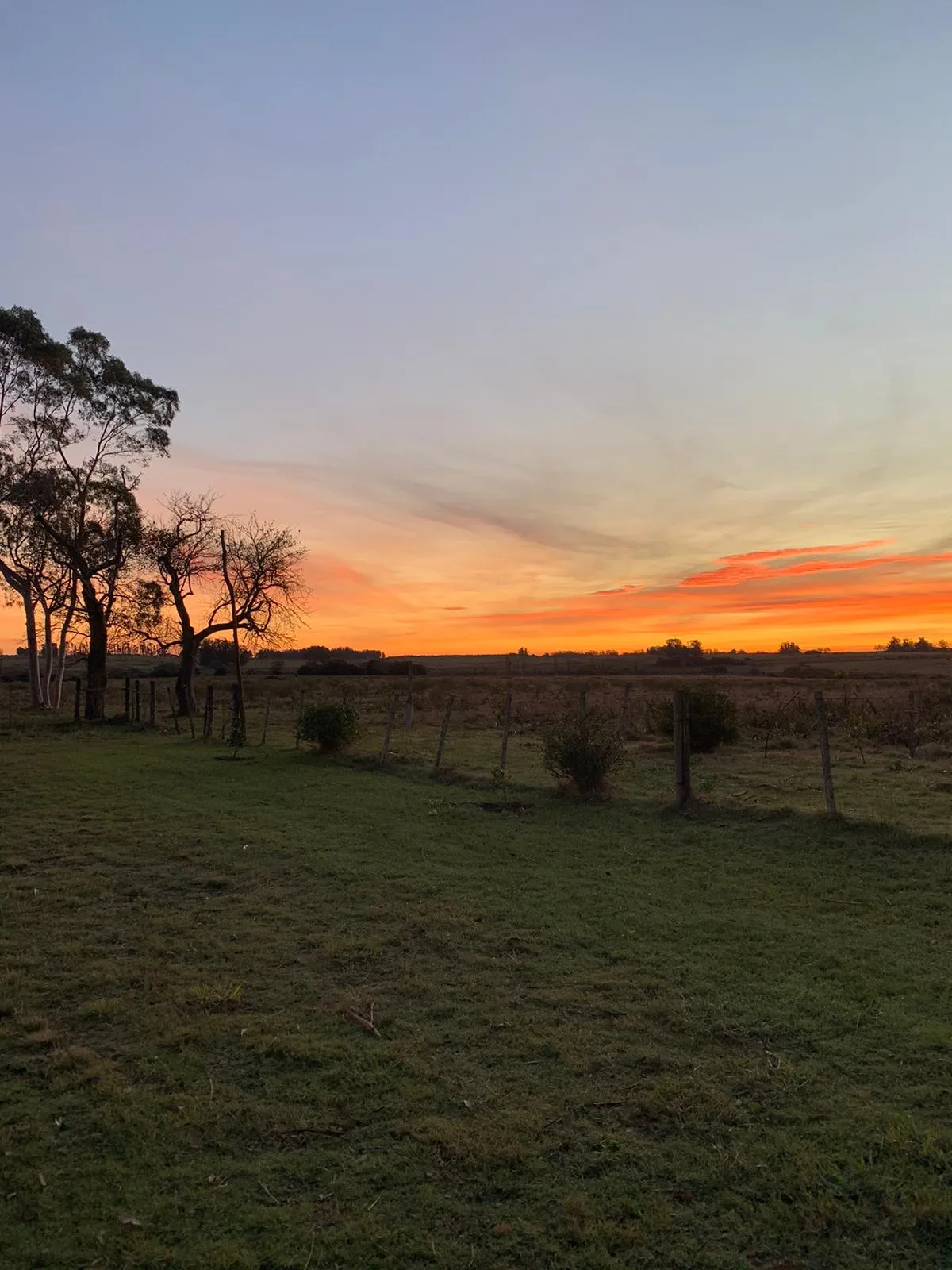 VENTA FRACCION RURAL 52 HECTAREAS EN RINCON DE JOSE IGNACIO — foto 20