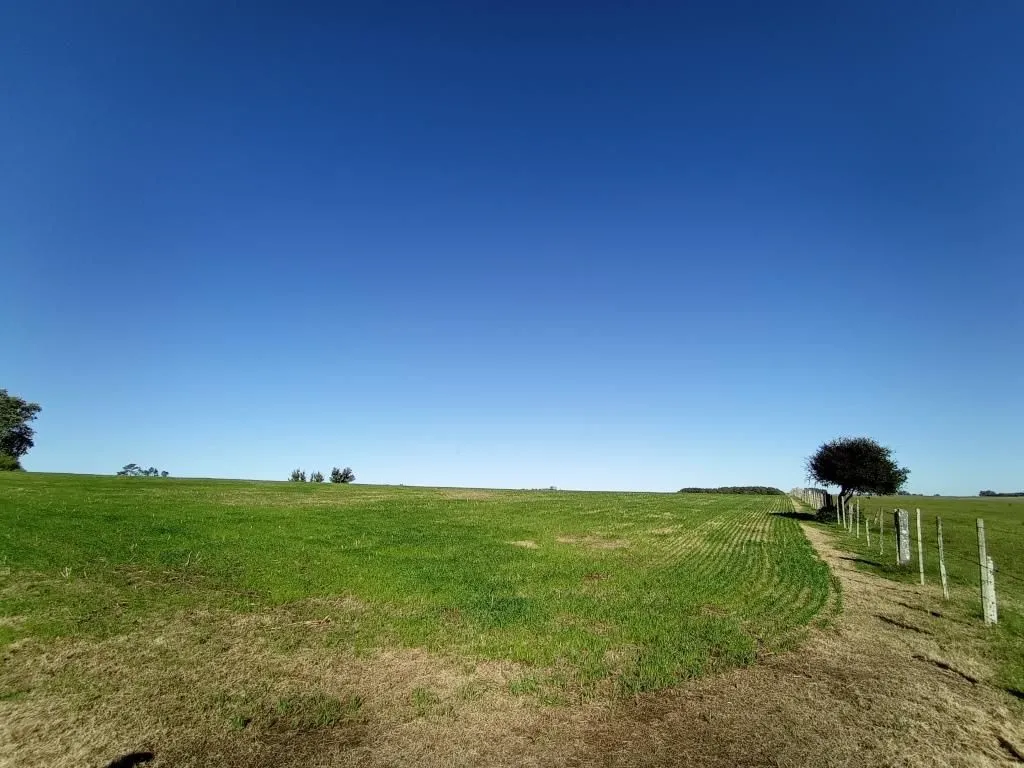 Chacra / Campo 40 ha en Maldonado — foto 8