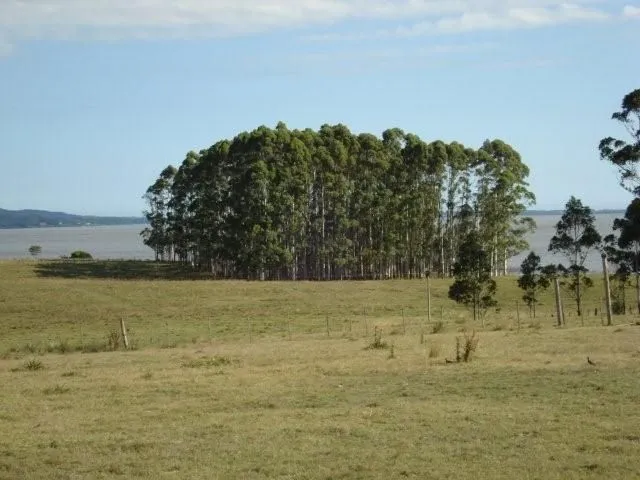 Venta de Chacra con casa en Laguna del Sauce Maldonado — foto 19