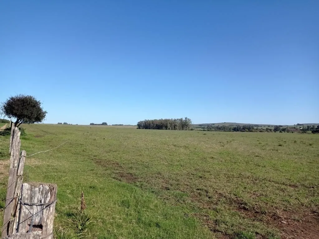 Chacra / Campo 40 ha en Maldonado — foto 9