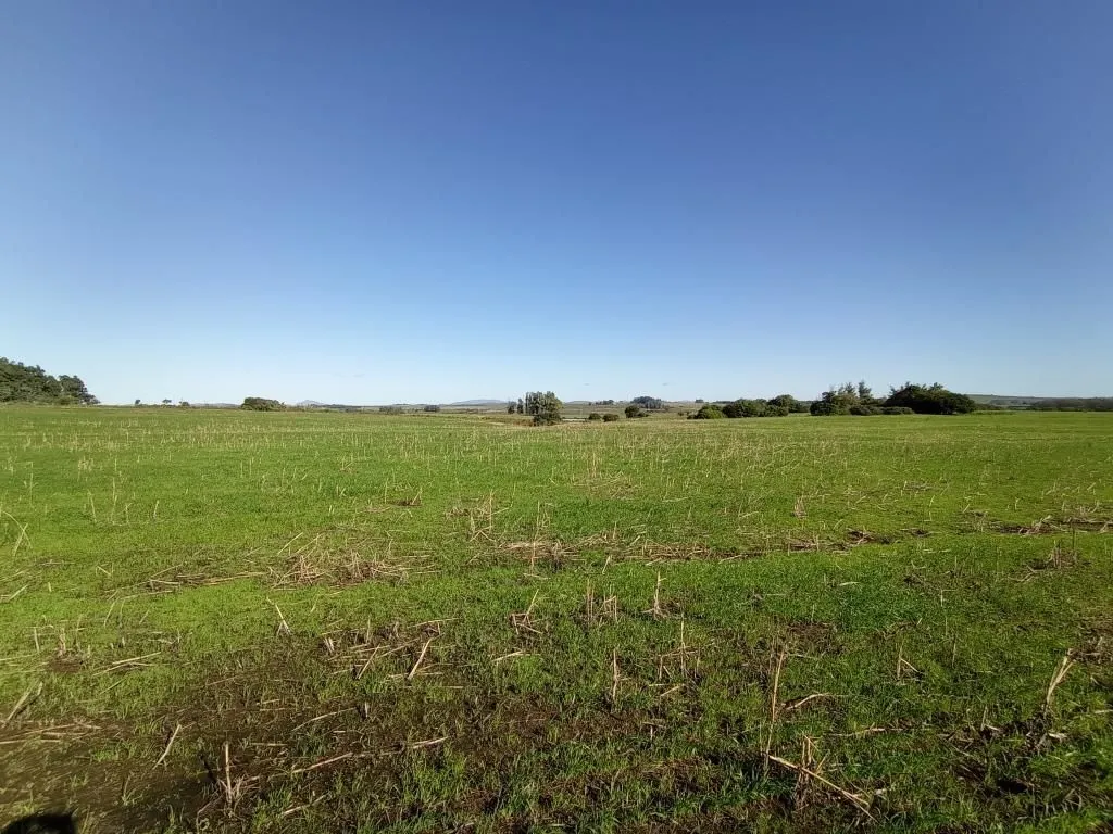 Chacra / Campo 40 ha en Maldonado — foto 10