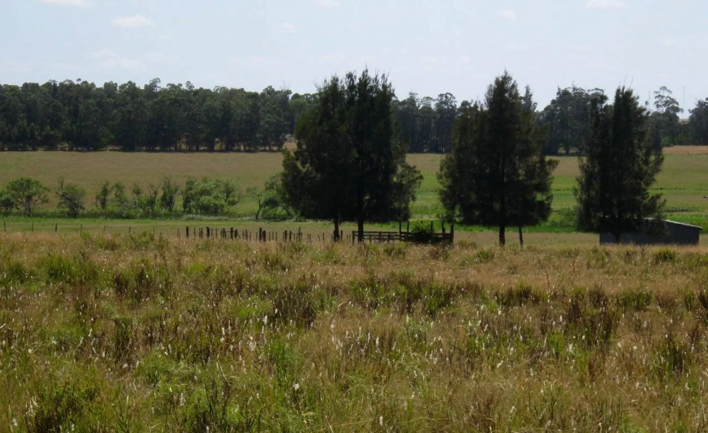 CHACRA EN VENTA DE 15,6 HECTAREAS - ZONA EL QUIJOTE LA BARRA — foto 10