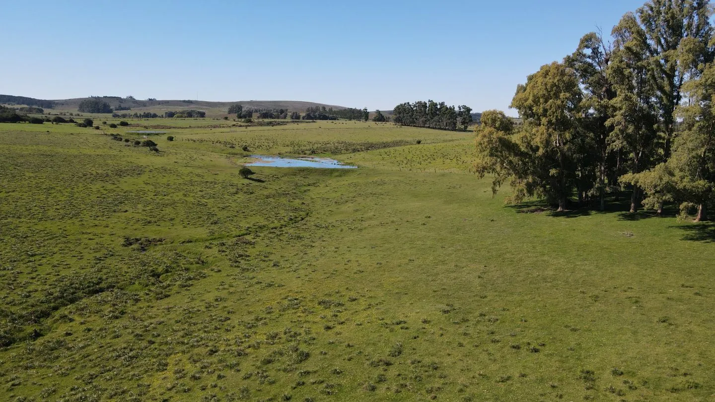 Chacra / Campo 40 ha en Maldonado — foto 12