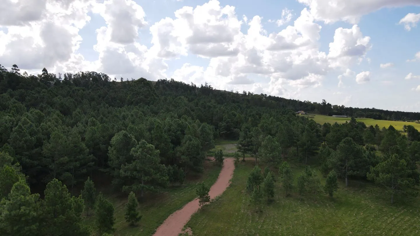 Chacra de 4,8 ha Lapataia, Maldonado Uruguay. — foto 2