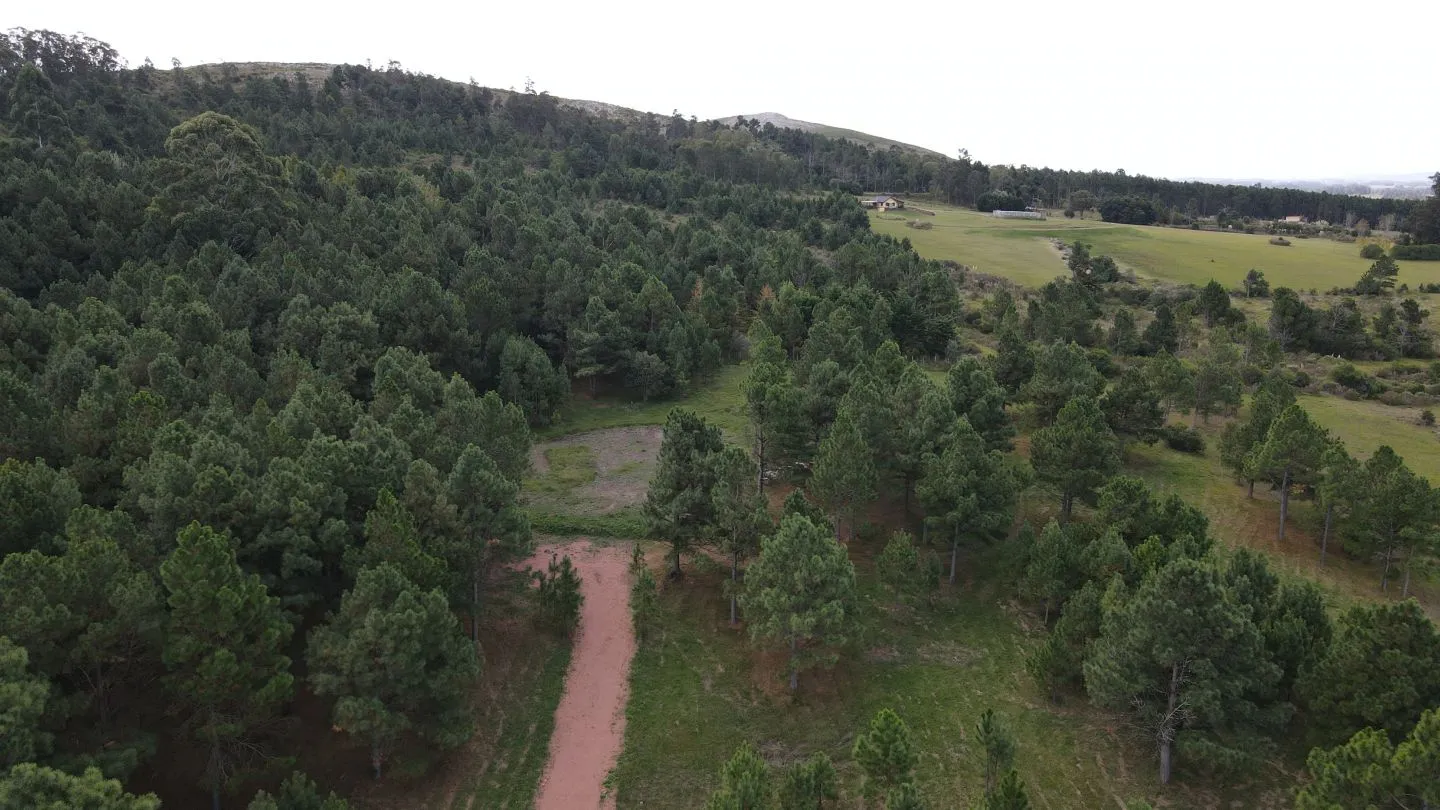 Chacra de 4,8 ha Lapataia, Maldonado Uruguay. — foto 3