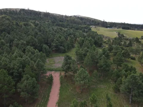 Chacra de 4,8 ha Lapataia, Maldonado Uruguay. — foto 3