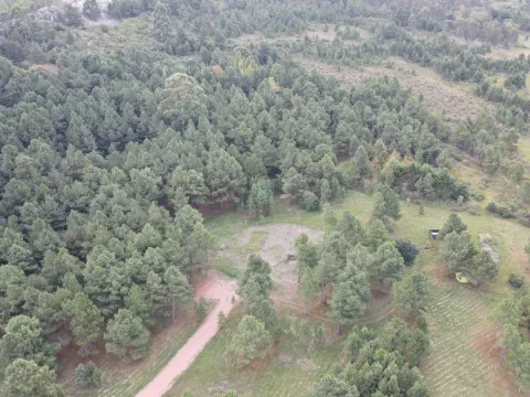 Chacra de 4,8 ha Lapataia, Maldonado Uruguay. — foto 4