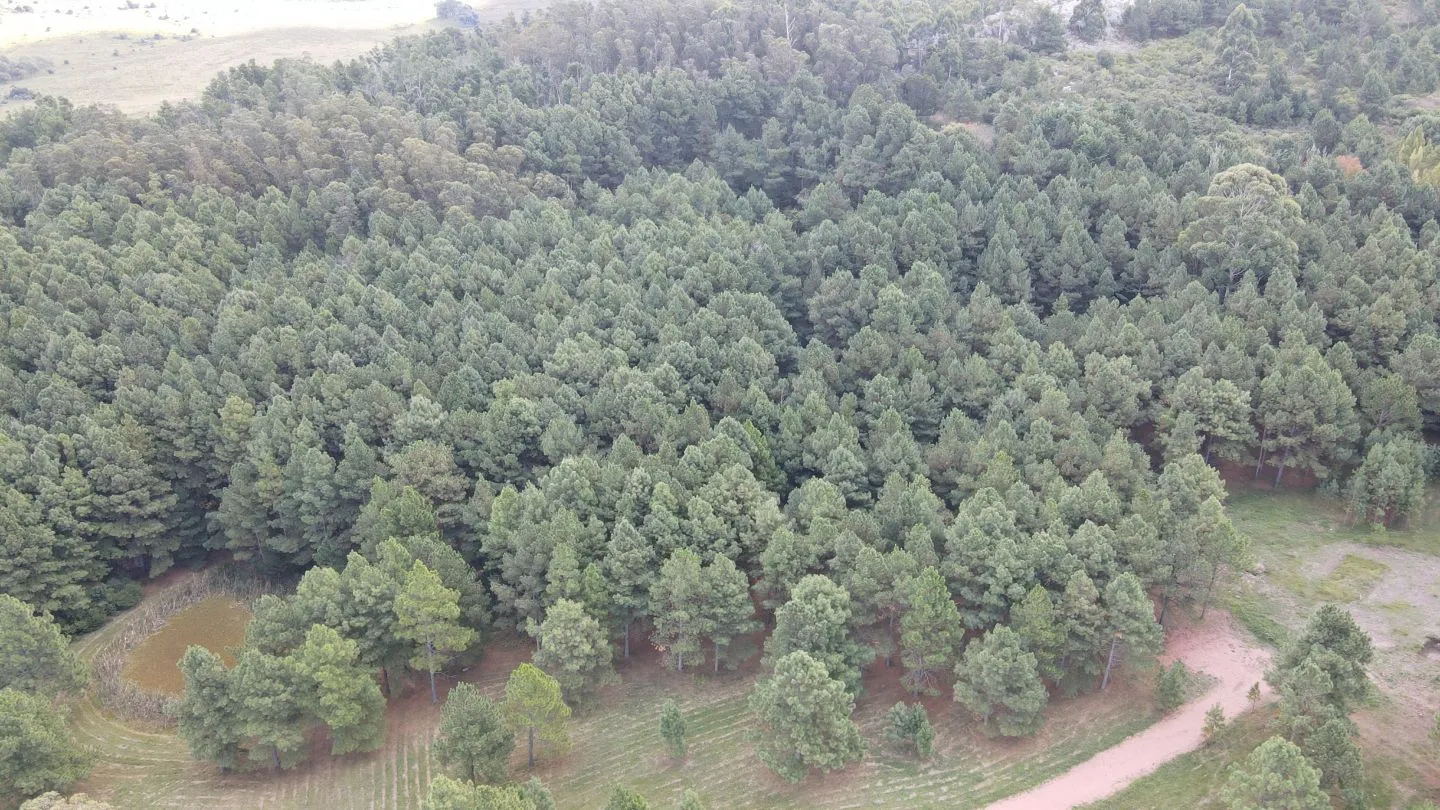Chacra de 4,8 ha Lapataia, Maldonado Uruguay. — foto 5